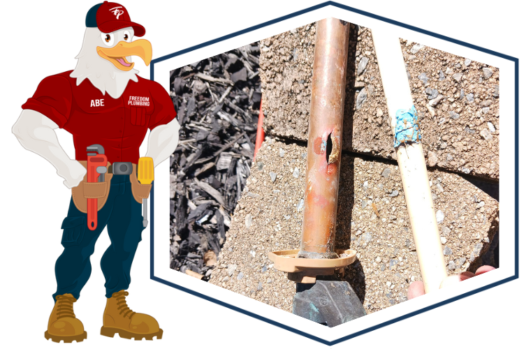 Commercial and Home repiping plumbing services